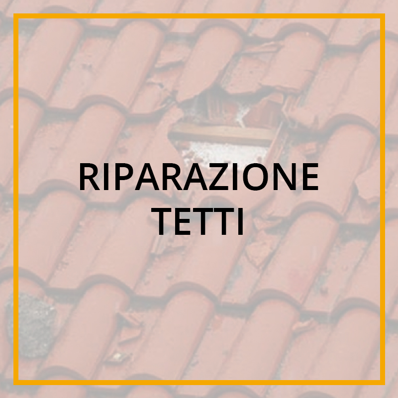 Riparazione Tetti