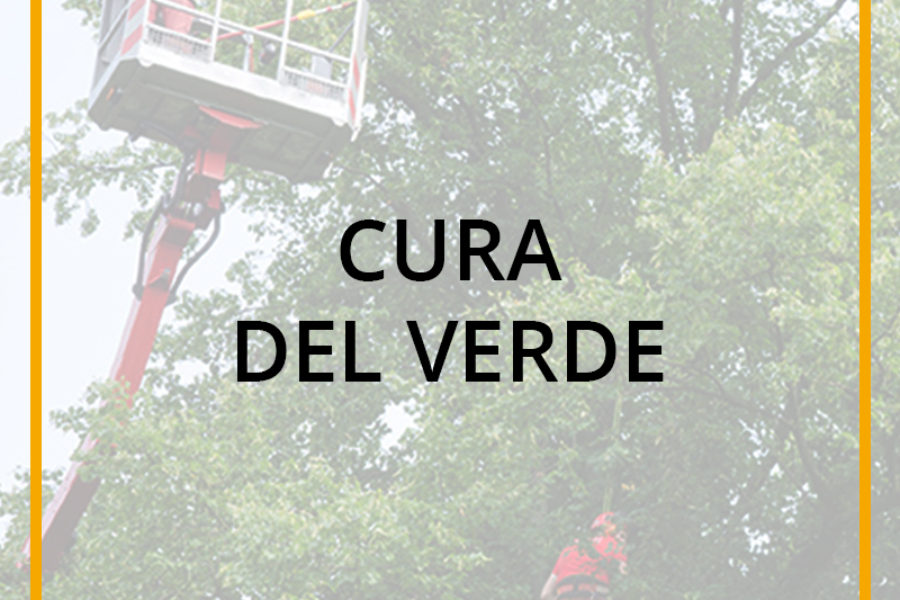 Cura Del Verde