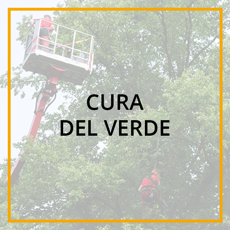 Cura Del Verde