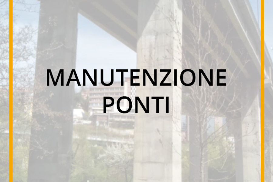 Manutenzione Ponti