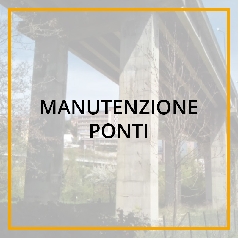 Manutenzione Ponti